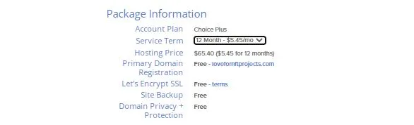 Bluehost hosting package information